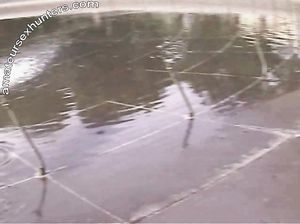 Темноволосые цыпочки отсосали штемпу