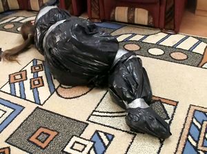 Цыпочке вставили вибратор и связали скотчем