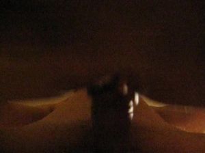 Реальный домашний минет от умелой прошмандовки