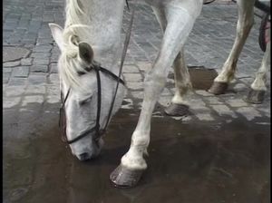 Грудастая барышня отдалась анально в деревенском доме