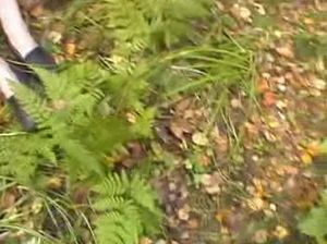 Развратная русская пара перепихнулась в лесу