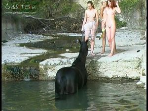 Телочки Галицына купают голыми лошадь в реке