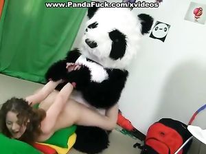 Пушистый панда нагнул раком сучку и жахнул