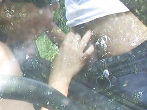 Кристина сосет через окно машины