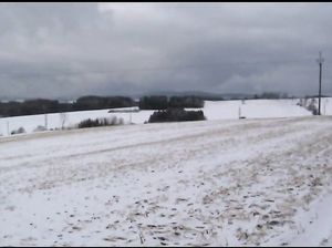 Лолиту пососала на улице