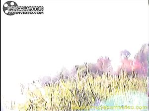 Алевтина перепихнулась на пикнике