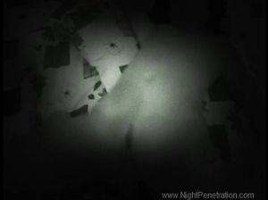 Скрытая камера снимает оральные ласки молодой пары