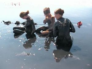 Голые телки испачкались в речную грязь